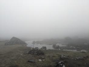 2965866